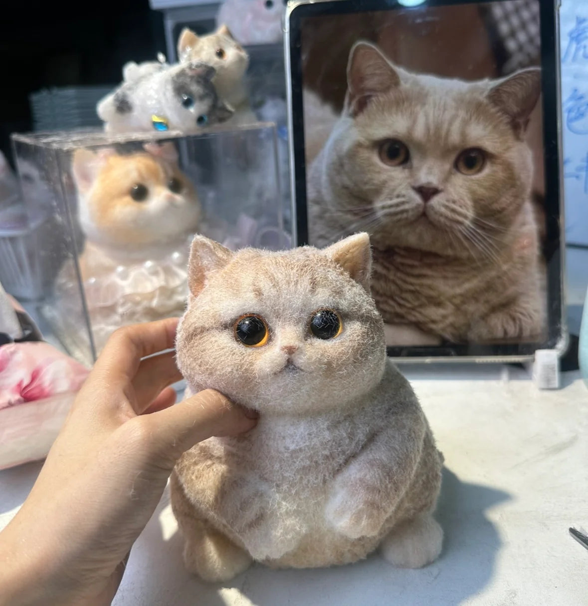 Customised Chubby Kitty