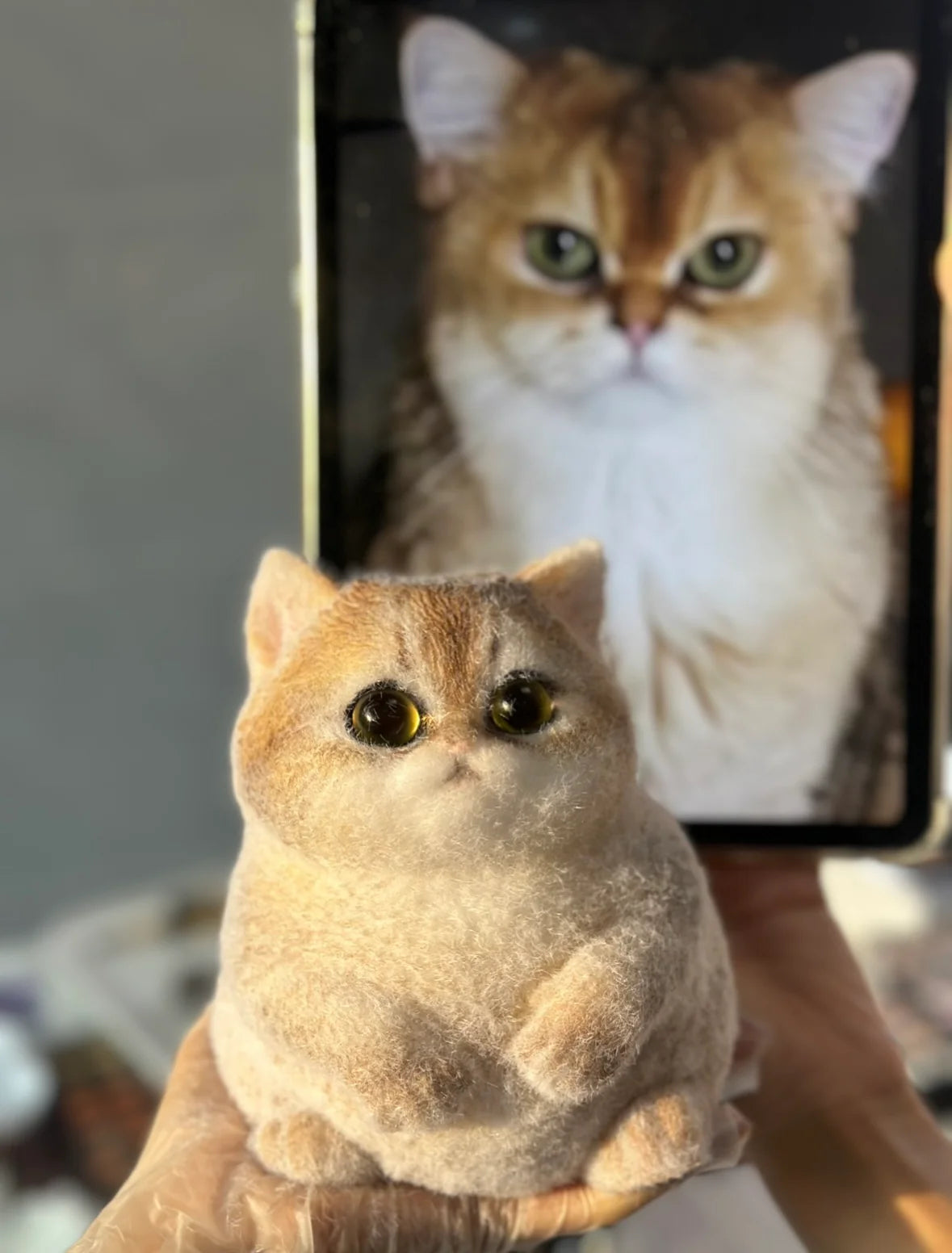 Customised Chubby Kitty