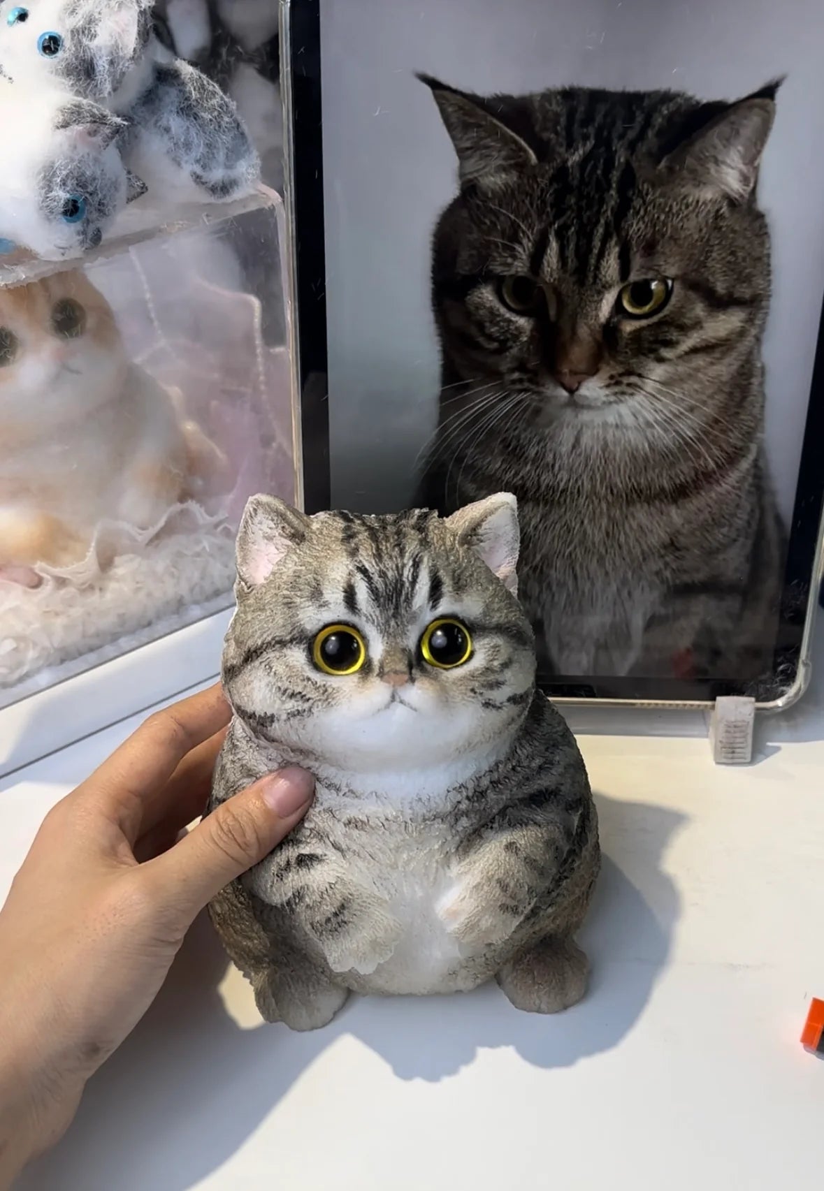 Customised Chubby Kitty