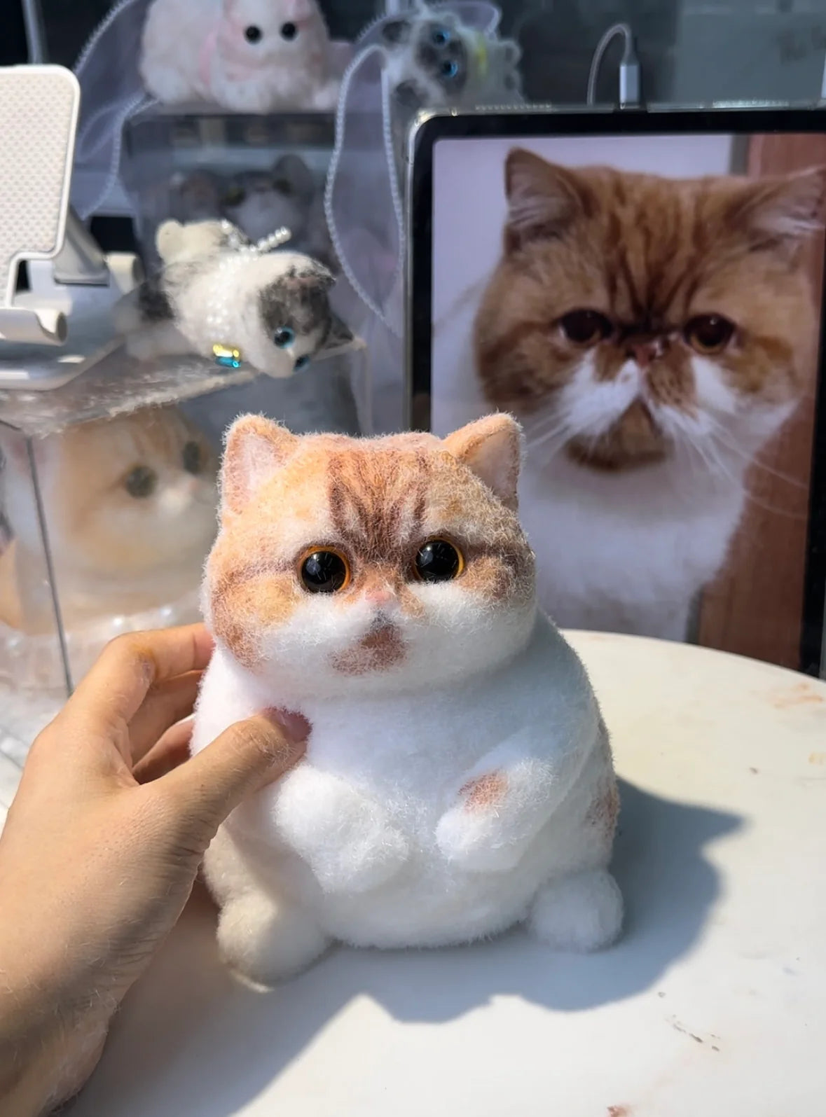 Customised Chubby Kitty